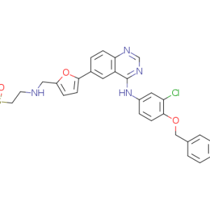 Lapatinib