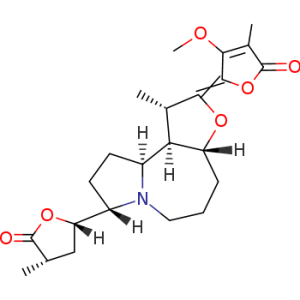 Protostemonine