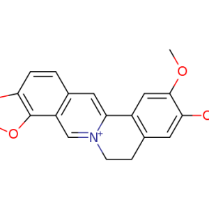 Epiberberine