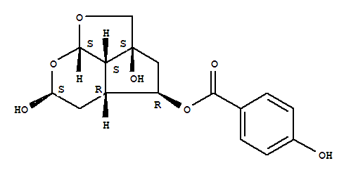 Catalpin