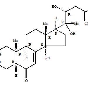 Polyporusterone B