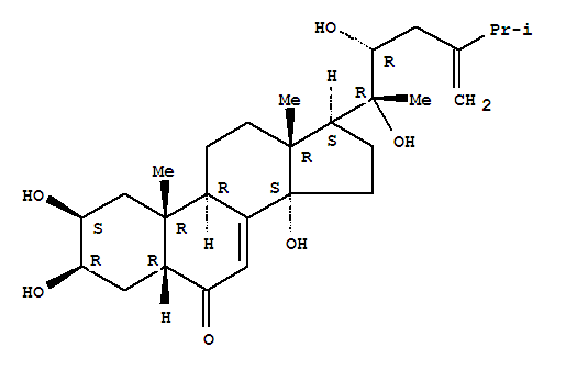 Polyporusterone B