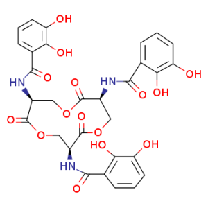 Enterobactin  from Escherichia coli