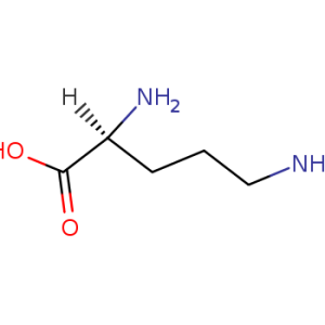 L-ORNITHINE