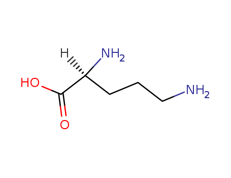 L-ORNITHINE