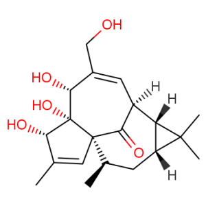 Ingenol