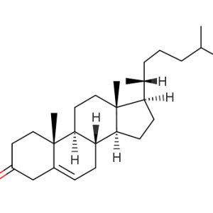 3-Keto Cholesterol