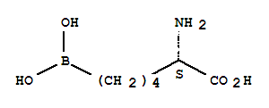 ABH (Amino-2-Borono-6-Hexanoic Acid)