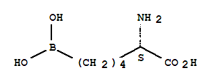 ABH (Amino-2-Borono-6-Hexanoic Acid)