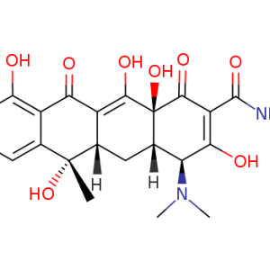 Tetracycline