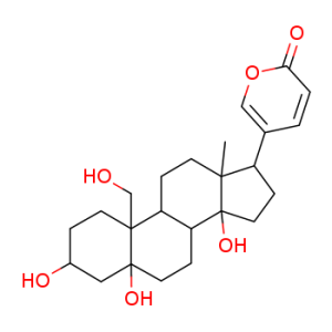 Hellebrigenol
