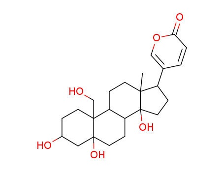 Hellebrigenol
