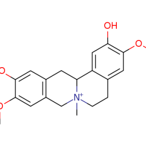 Phellodendrine chloride