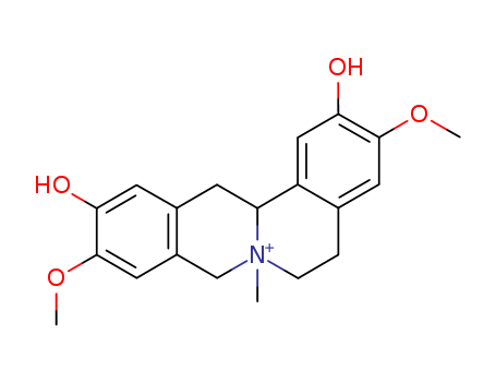 Phellodendrine chloride
