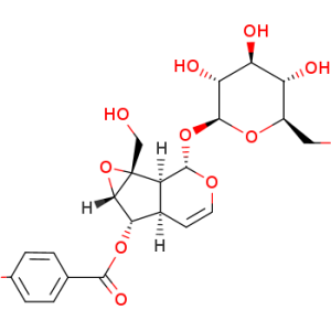 Catalposide