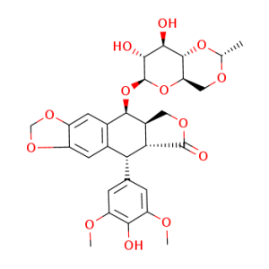 Etoposide