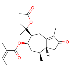 Torilin