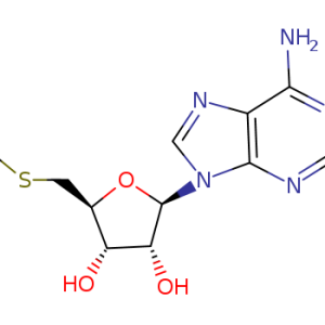 5'-S-Methyl-5'-thioadenosine