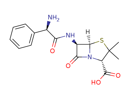 Ampicillin