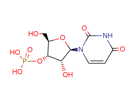 URIDYLIC ACID