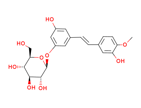 Rhaponiticin