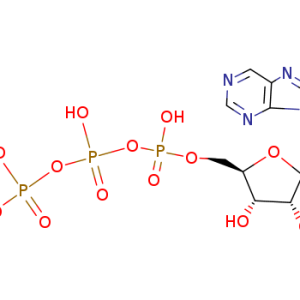 Purine riboside triphosphate