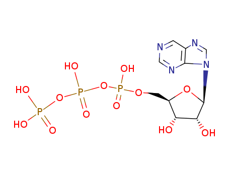 Purine riboside triphosphate