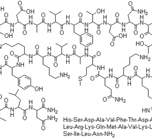 Vasoactive Intestinal Peptide human