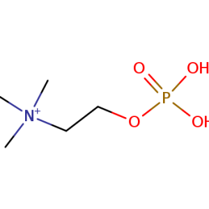 Phosphorylcholine (Phosphocholine)