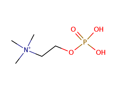 Phosphorylcholine (Phosphocholine)
