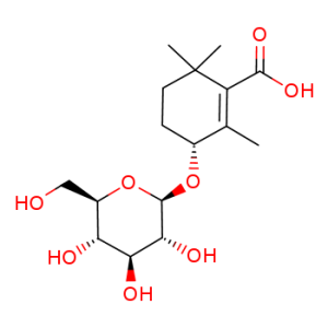 rehmapicroside