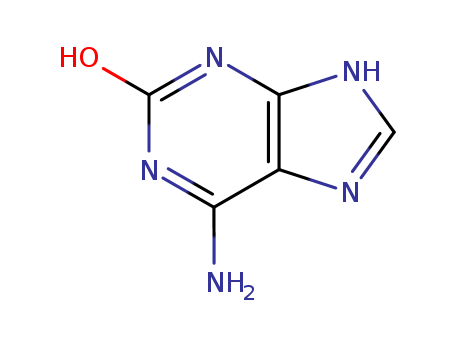 Isoguanine