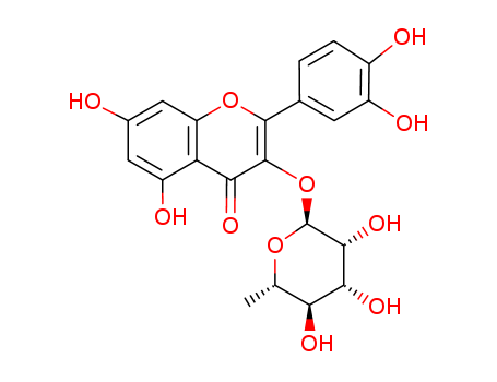 Quercetin 3-rhamnoside