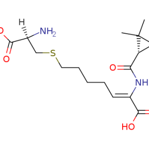 Cilastatin
