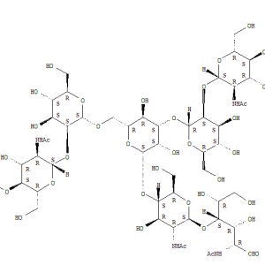 G2 Glycan