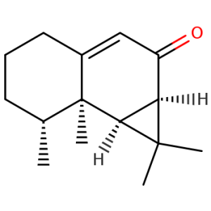 Aristolone