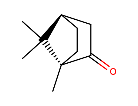 (+/-)-Camphor