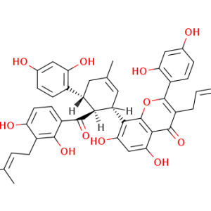 Kuwanon H