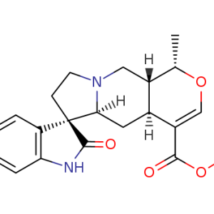 Mitraphylline
