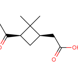 cis-Pinonic acid