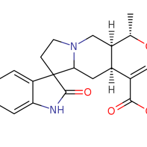 Rhynchophylline E
