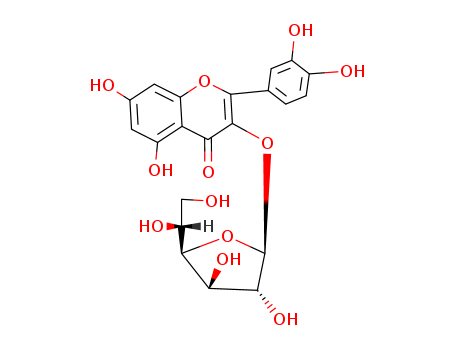 Quercetin 3-β-D-glucoside
