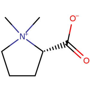 Stachydrine