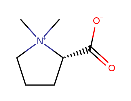 Stachydrine