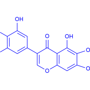 Dichotomitin