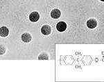Мембранный фильтр из поликарбоната (ПК) N Sartorius 50 мм | белый (без сетки) поликарбонат