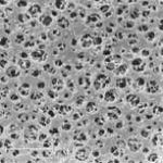 Мембранный фильтр из ацетата целлюлозы (CA) N Sartorius 0