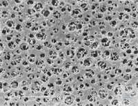Мембранный фильтр из ацетата целлюлозы (CA) N Sartorius 50 мм | белый (без сетки) целлюлоза