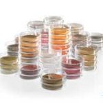 Sartorius NPS для дозатора Microsart® e.motion Schaufus Pottinger (m Зеленые дрожжи и